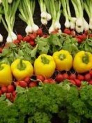 0056Fruits.jpg