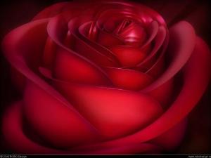 love5.jpg