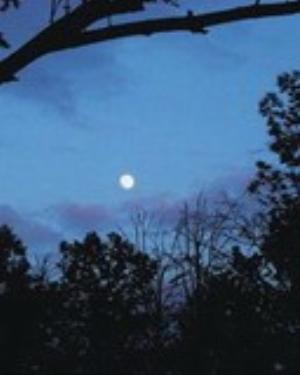 0009nature.jpg