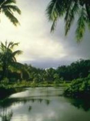 0021Nature.jpg