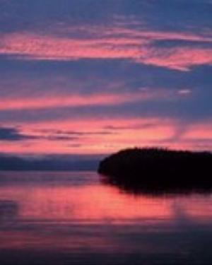 0021nature.jpg