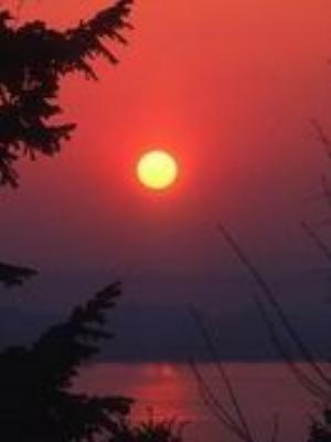 0023Nature.jpg