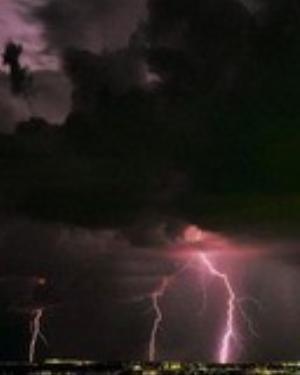 0037nature.jpg