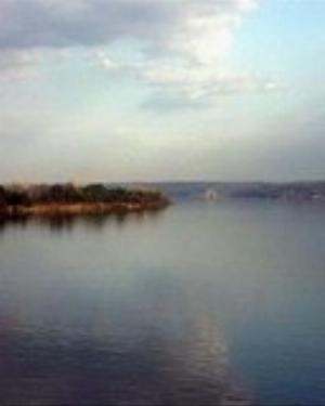 0039nature.jpg